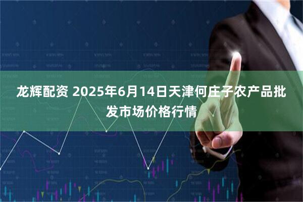 龙辉配资 2025年6月14日天津何庄子农产品批发市场价格行情